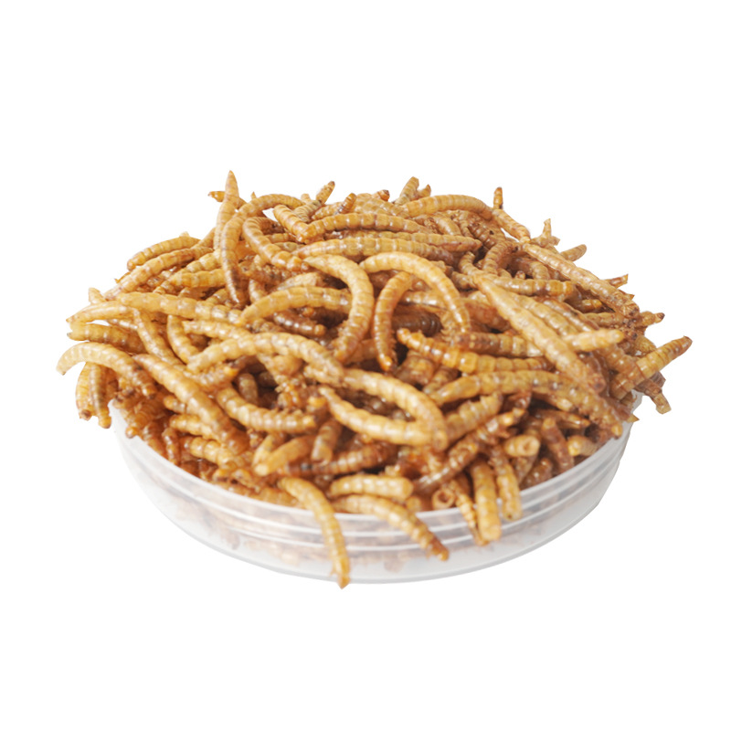 Food Snacks With Protein - Snacks de Alta Proteína para Hamsters,