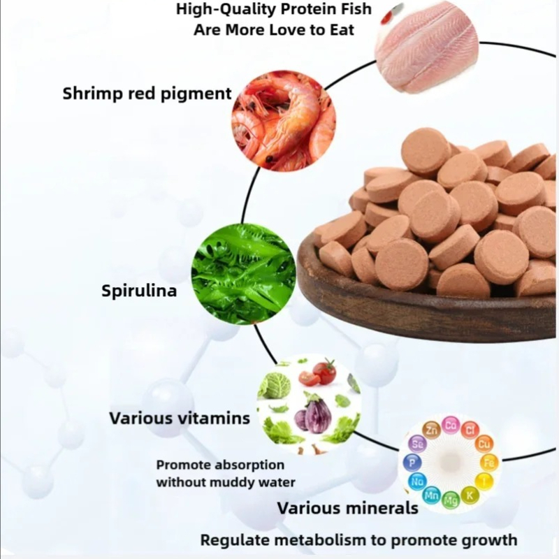 Patch de Alimento para Peixes  - Food Snacks With Protein avaliação e preço